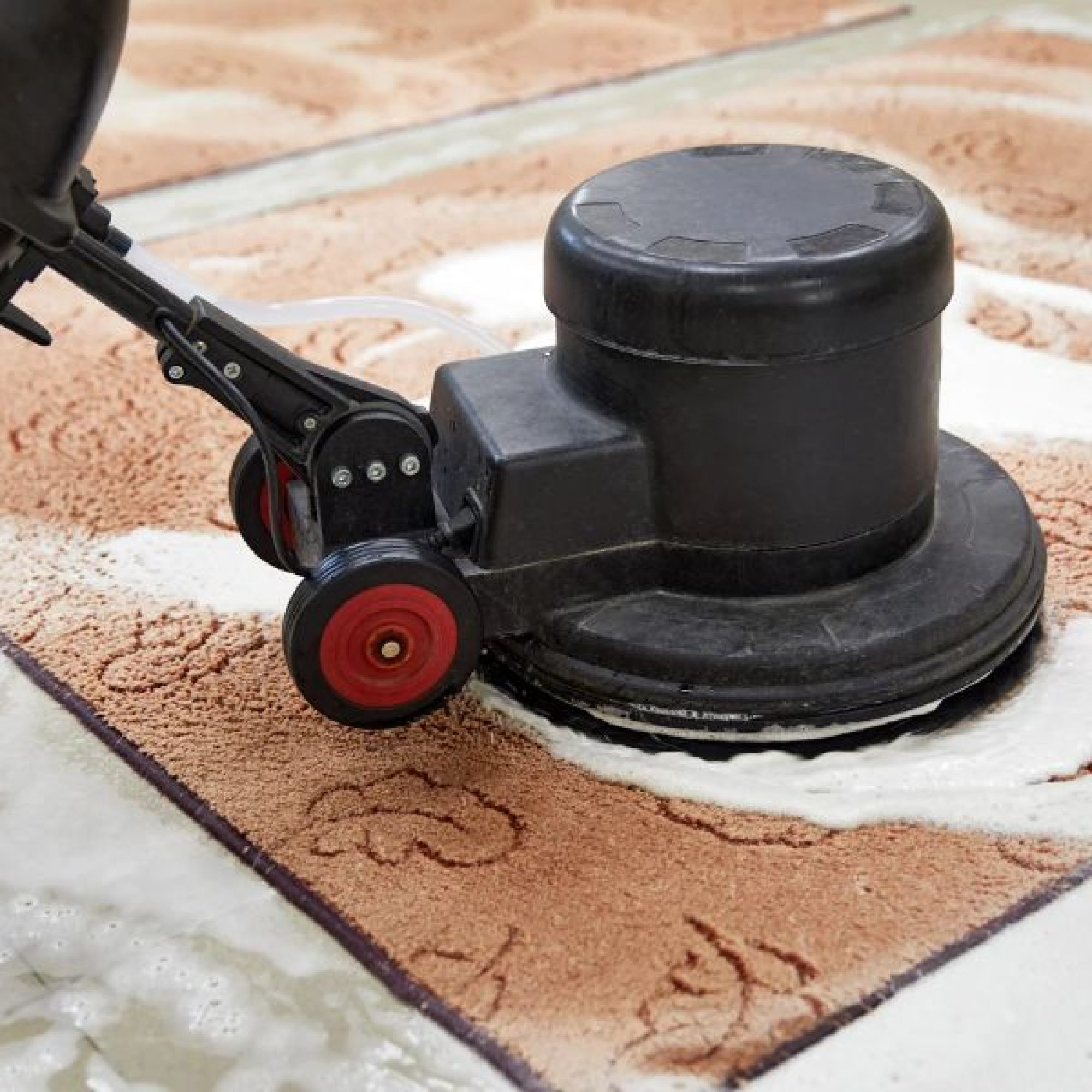 CARPET
